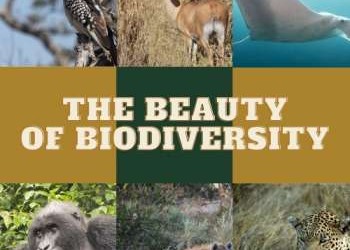 Vincent Rajiv Louis on technology’s expanding role in conservation efforts in Asia Pacific Vincent Rajiv Louis on technology’s expanding role in conservation efforts in Asia Pacific
